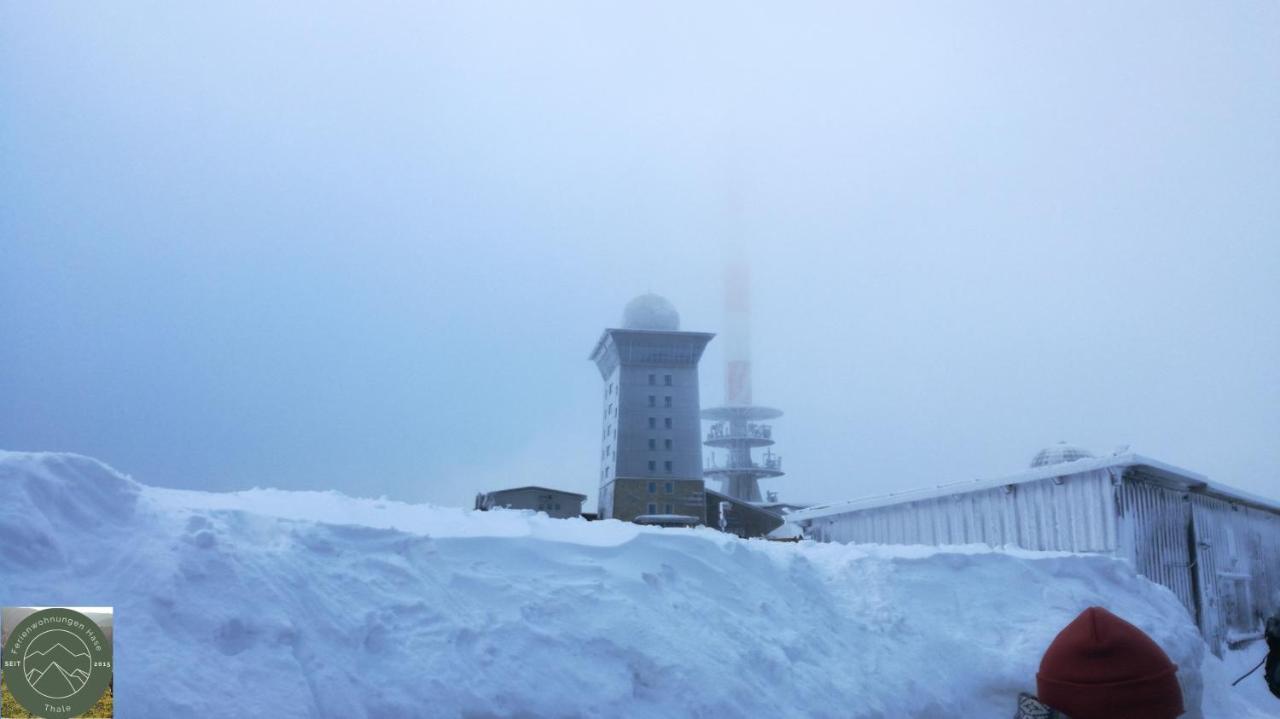 Ferienwohnung Kahlenberg ターレ エクステリア 写真